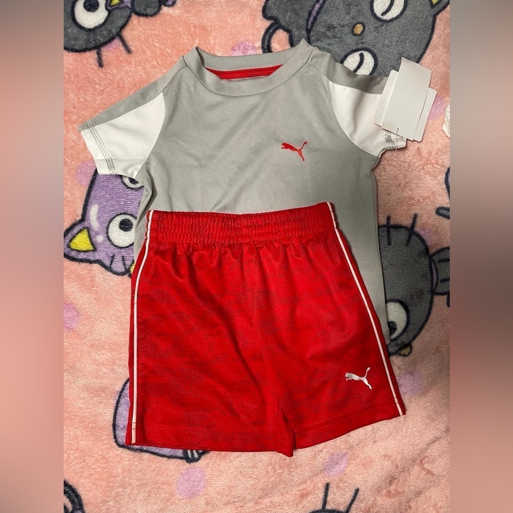 12m baby puma